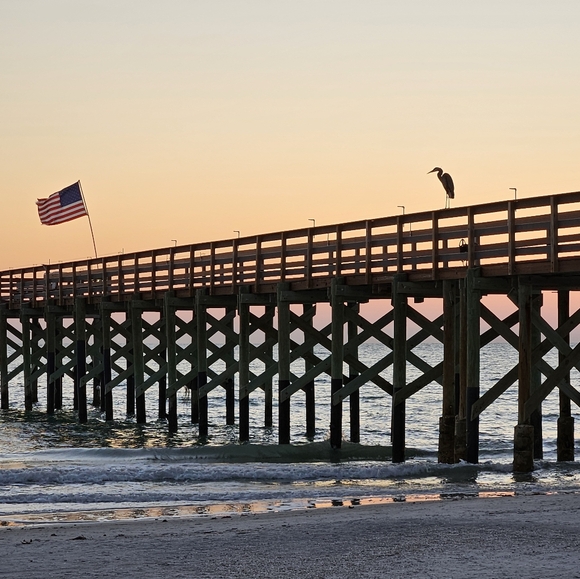 Meet your Posher, Hannah - Picture 7 of 13